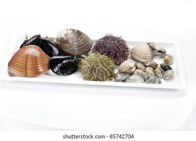 Littleneck Clam Images Stock Photos Vectors Shutterstock