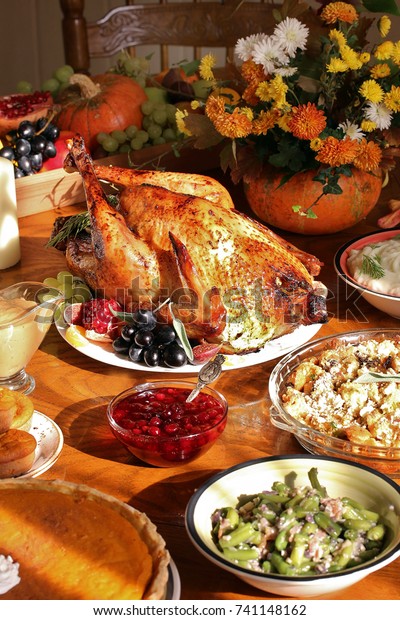 Dishes Thanksgiving Young Turkey Cranberry Sauce Stock Photo (Edit Now ...