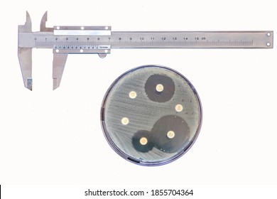Disk Diffusion Susceptibility Test, measurement of the zone of inhibition of some antibiotics. Petri dish, callipers and vernier scale on white background. 
