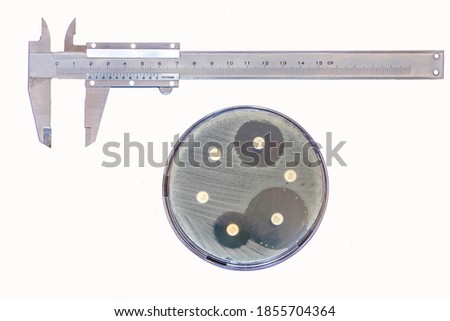 Disk Diffusion Susceptibility Test, measurement of the zone of inhibition of some antibiotics. Petri dish, callipers and vernier scale on white background. 