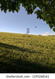 Disk Golf Outside.