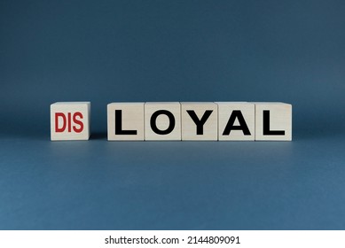 Disloyal Or Loyal Choice. Cubes Form The Words Disloyal Or Loyal. Concept Of Choice In Attitude At Work In Business And Everyday Life