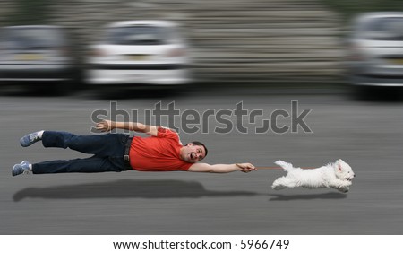 Image, Stock Photo kitten as murderer