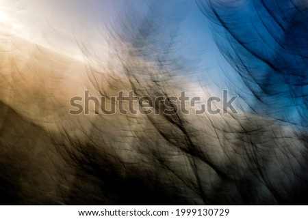 Disoriented image of hazy, fragmented, streaking, silhouetted trees, backlit by warm, bright late afternoon sun in blue sky - abstract, motion-blurred background texture