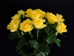 A Display Of Beautiful Yellow Roses Against A Black Background.