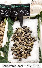 Display Of Black Periwinkle(Spanish-Bígaro Negro), An Edible Welk Or Sea Snail For Sale At A Market In Barcelona