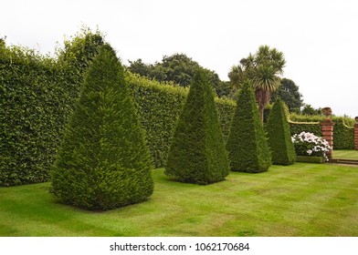 327 Topiary Cones Images, Stock Photos & Vectors | Shutterstock