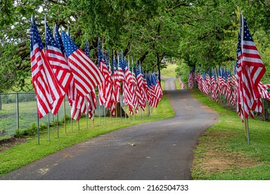 A Display Of United States Flags On Memorial Day Along A Road In A Cemetary Near Dallas Oregon