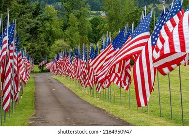 A Display Of United States Flags On Memorial Day Along A Road In A Cemetary Near Dallas Oregon