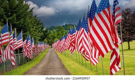 A Display Of United States Flags On Memorial Day Along A Road In A Cemetary Near Dallas Oregon