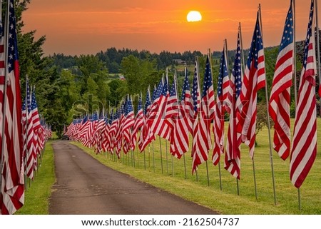 A display of United States flags at sunrise on Memorial Day along a road in a cemetary near Dallas Oregon