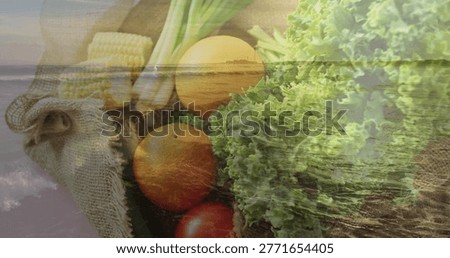 Displaying centered cluster lettuce, oranges, tomatoes, corn and scallion on burlap with shoreline. Stilllife, doubleexposure, produce, greens, citrus, maize, onion