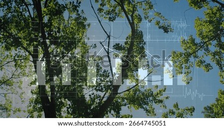 Displaying data overlay over forest canopy with bar charts line graphs gridlines and waveforms. Natural landscape, environmental data, technological integration, organic contrast, outdoor setting,