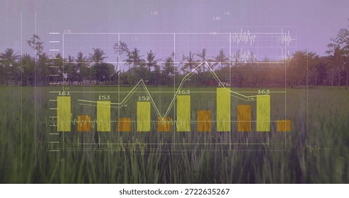 Displaying data visual overlay floating over rural paddy at dusk, with yellow bars, white line. Doubleexposure, infographic, visualization, field, palms, landscape, horizon