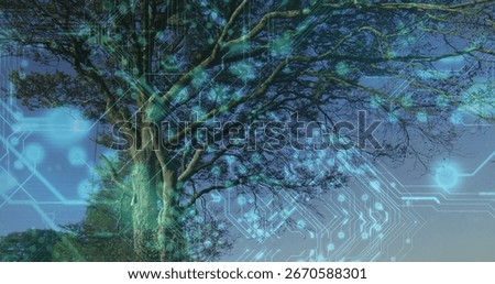 Displaying large deciduous tree integrating neon circuit lines against dusky sky, digital fusion. Nature, technology, digital, futuristic, biomimicry, innovation, eco-friendly