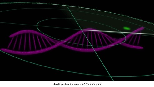 Displaying neon purple DNA helix spinning in digital interface, with green arcs and grid lines. Futuristic, technology, innovation, cyber, visualization, schematic, scientific