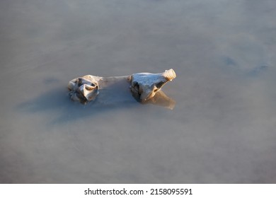 Disposable Plastic Bottle In Dirty Water Surface. Pollution Of Water Bodies, Poor Ecological Situation. Environmental Concept. Excessive Use Plastic Packaging. Selective Focus, Copy Space.