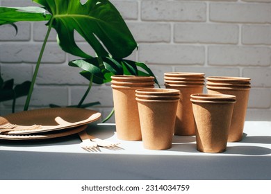 Disposable tableware for eating from environmentally friendly materials. Paper cups and plates, wooden forks on a white table with green leaves in the background. The concept of degradable waste