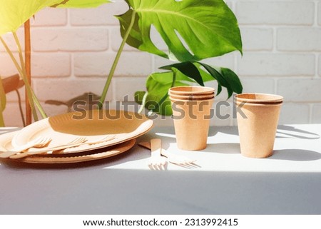 Disposable tableware for eating from environmentally friendly materials. Paper cups, plates, wooden forks on a white table with green leaves in the background. The concept of degradable waste