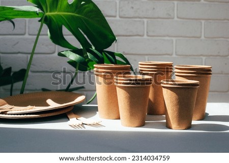 Disposable tableware for eating from environmentally friendly materials. Paper cups and plates, wooden forks on a white table with green leaves in the background. The concept of degradable waste