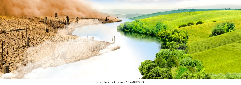 Disruption of ecological balance brings disasters with it. Arid land and green field grass, trees. Photo manipulation.