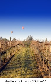  distant Balloons rising on a winters morning over Napa vineyards