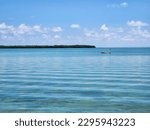 Distant flats fisherman off Tavernier Key in Florida Keys, Florida on calm sunny afternoon.