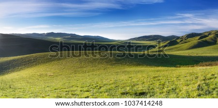 Distant hills. Hilly steppe. Curvy hills. Blue sky and grass. Beautiful plain. Sunny day and hills. Lowland. Hilly horizon.