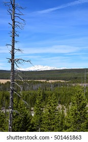 Distant Mountain