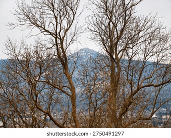 Distant mountain tower framed by bare trees, overcast sky and snowdusted slopes creating quiet winter mood,