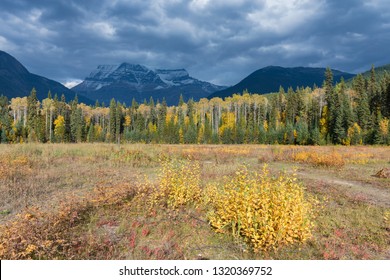 Distant Panoramic Landscape Of Mountain Robson Top In Jasper National Park Canadian Rocky Mountains 
Mt. Robson Provincial Park, British Colombia, Canada