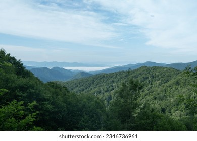 distant rolling views from a mountain view site a rainy cloud forest dense with green deciduous and conifer pine trees covering every hill to the horizon, mist and fog hang heavy down in the valley