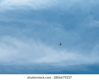 Distant Seagull Flying Through a Cloudy Blue Sky.
