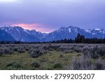 Distant snow-capped mountains loom under cloudy sky. Grassy field borders asphalt road leading toward peaks. Green shrubs dot roadside terrain. Forest line stretches beyond open meadow