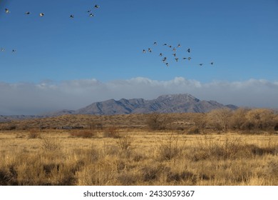 Distant train is mechanical element contrasting with natural elements of mountain, birds flocking in flight, and blue sky in New Mexico landscape