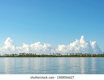 Distant Trees Along The Shoreline With A Lake In The Front And Clouds Along The Treeline