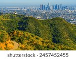 Distant view of the Griffith Observatory perched on the picturesque hills of the park with the sprawling city of Los Angeles in the background.