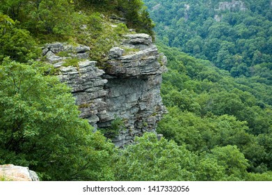 distant view of mountain surrounded by forests