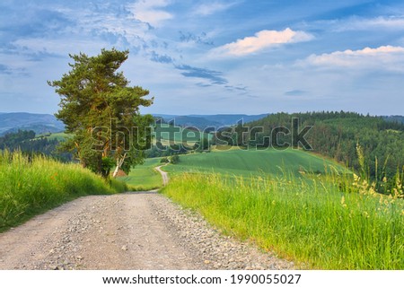 Distant view of mountains along a gravel road in the Thuringian countryside