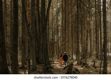 Distant view on two small silhouettes of man and woman walking away and in forest of huge tall green brown trees