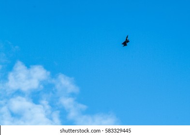 Distant view of a war plane flying in the blue sky with white clouds