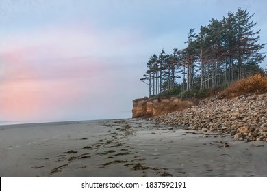 A distant view of wind swept trees on the beach with a colorful sunset - Cape Lookout Beach, Oregon
