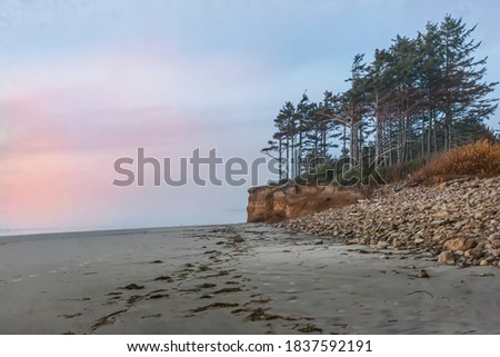 A distant view of wind swept trees on the beach with a colorful sunset - Cape Lookout Beach, Oregon
