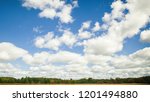A distant wheat field and dense tree line form a thin strip across the bottom of this beautiful summer landscape, filled mostly by a pastel blue sky and fluffy clouds in Michigan’s farm country.