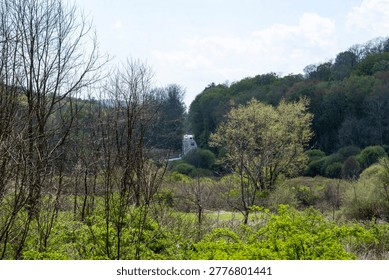 A distant winding road cuts through a lush green valley forest in spring.