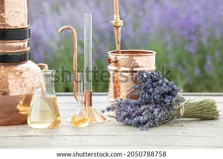 Distillation of lavender essential oil and hydrolate. Copper alambik for the flowering field