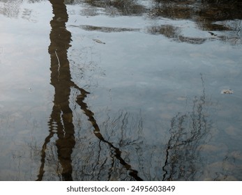 Distorted reflection of a bare tree on and blue sky on water surface of river or lake. Detail of natural landscape. 