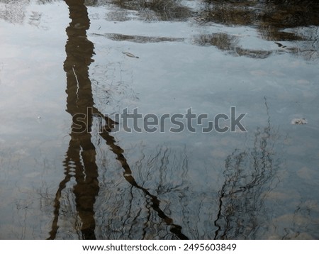 Distorted reflection of a bare tree on and blue sky on water surface of river or lake. Detail of natural landscape. 