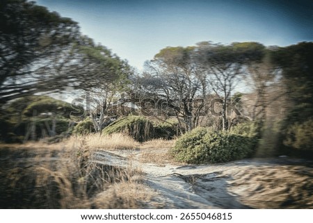 A distorted spinning view of a forest