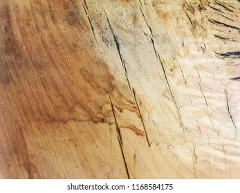 Distressed American White Oak Background